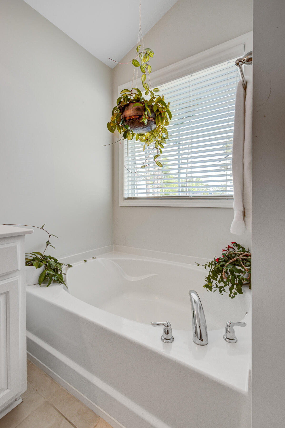 403 Kilarney Road Summerville, SC 29483 - Photo 18 of 33 403 Killarney Rd, Summerville SC (31)