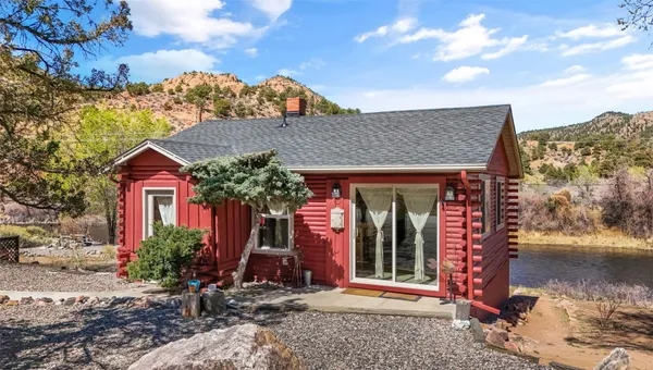 a view of a tree in a yard