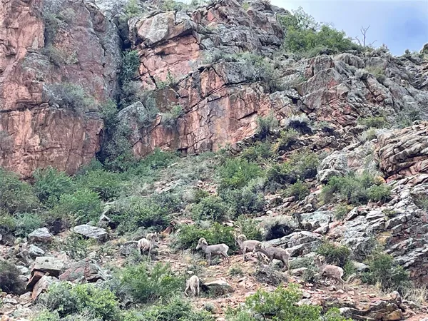 a front view of a house with yard