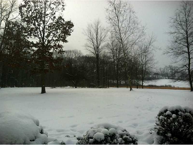 190 Love Road Valencia, PA 16059 - Photo 19 of 24 Land. THIS PROPERTY CAN BE SUBDIVIDED INTO SEPARATE LOTS.