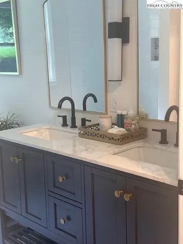 a bathroom with a sink and a potted plant