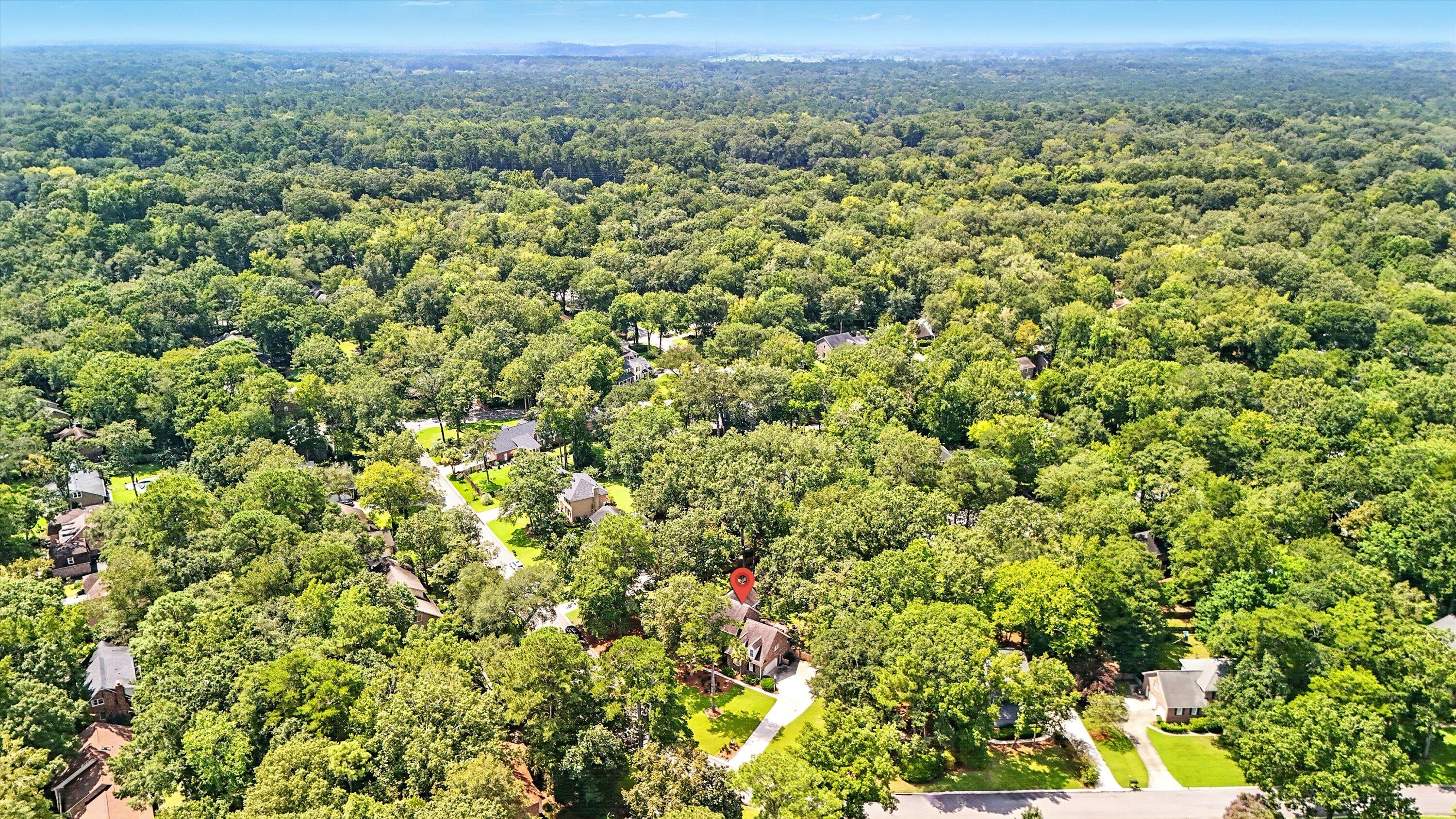 123 Huckleberry Lane Summerville, SC 29485 - Photo 35 of 35 44-042_DJI_20250820123308_0002_D_1