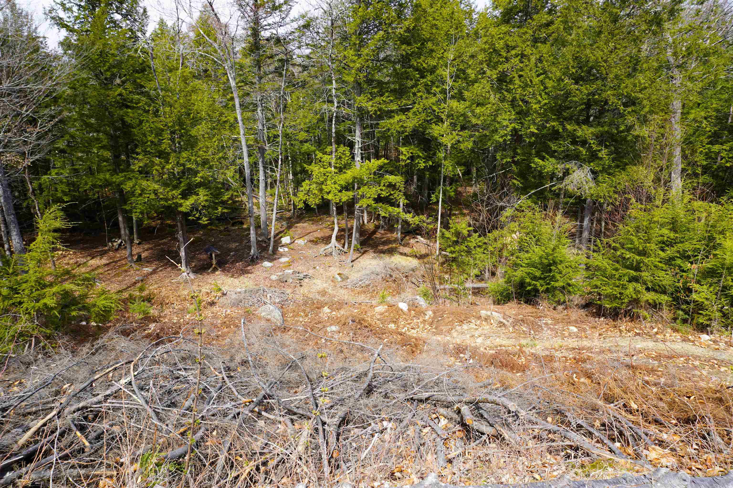 380 Scribner Hill Road Wakefield, NH 03830 - Photo 10 of 46