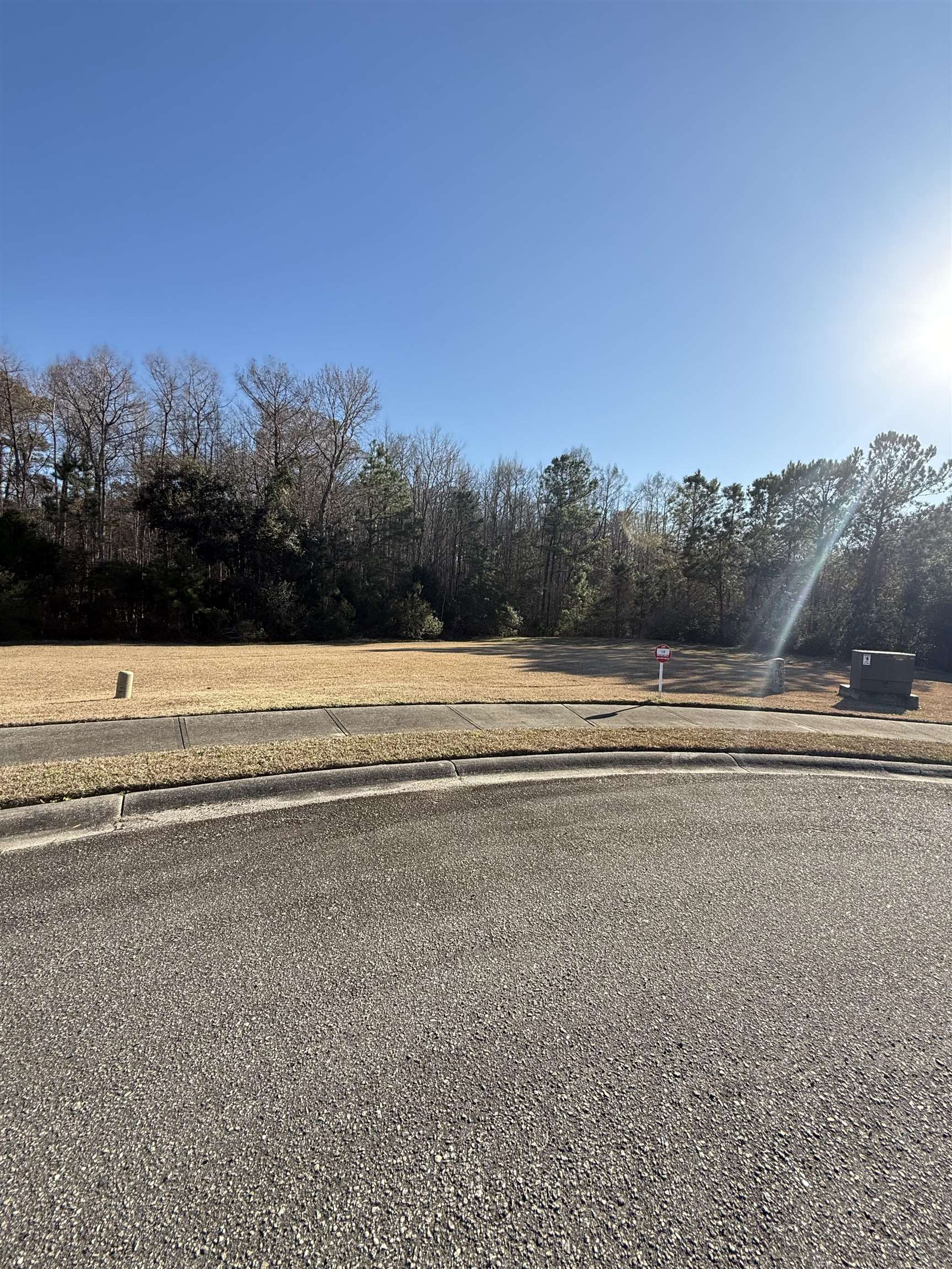 159 Commanders Island Road Georgetown, SC 29440 - Photo 2 of 15 View of asphalt street with sidewalks and curbs