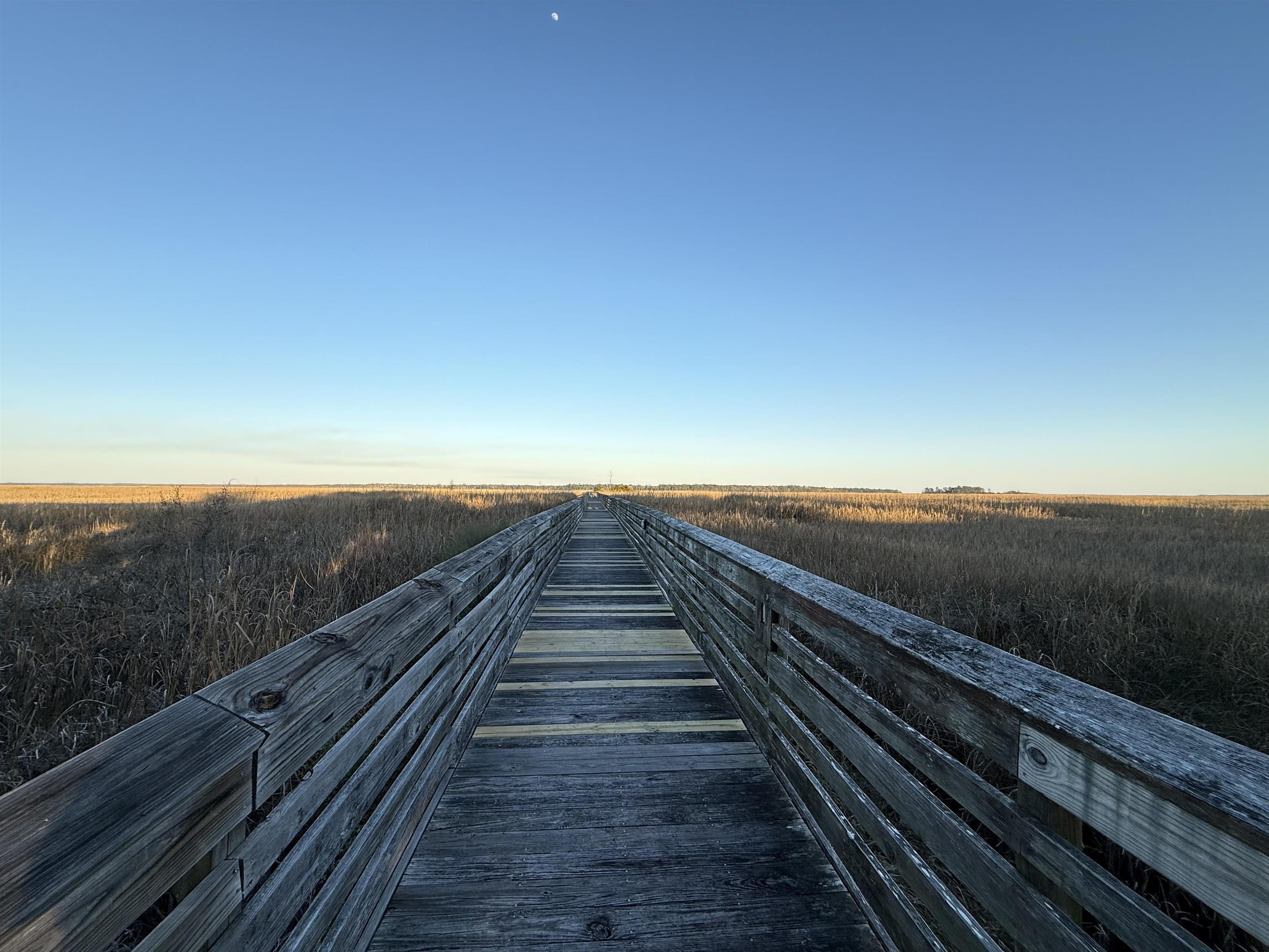 159 Commanders Island Road Georgetown, SC 29440 - Photo 4 of 15
