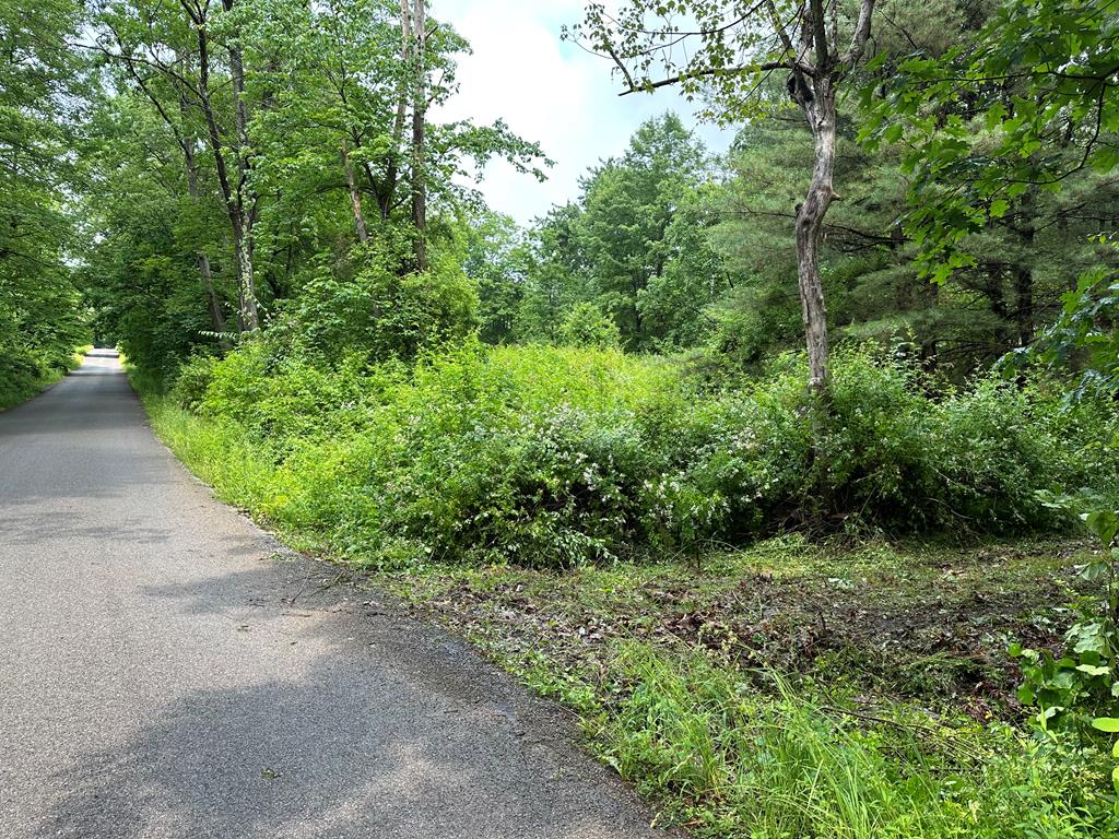 267 Dennison Run Road Polk, PA 16342 - Photo 1 of 10 a view of a green field with lots of bushes