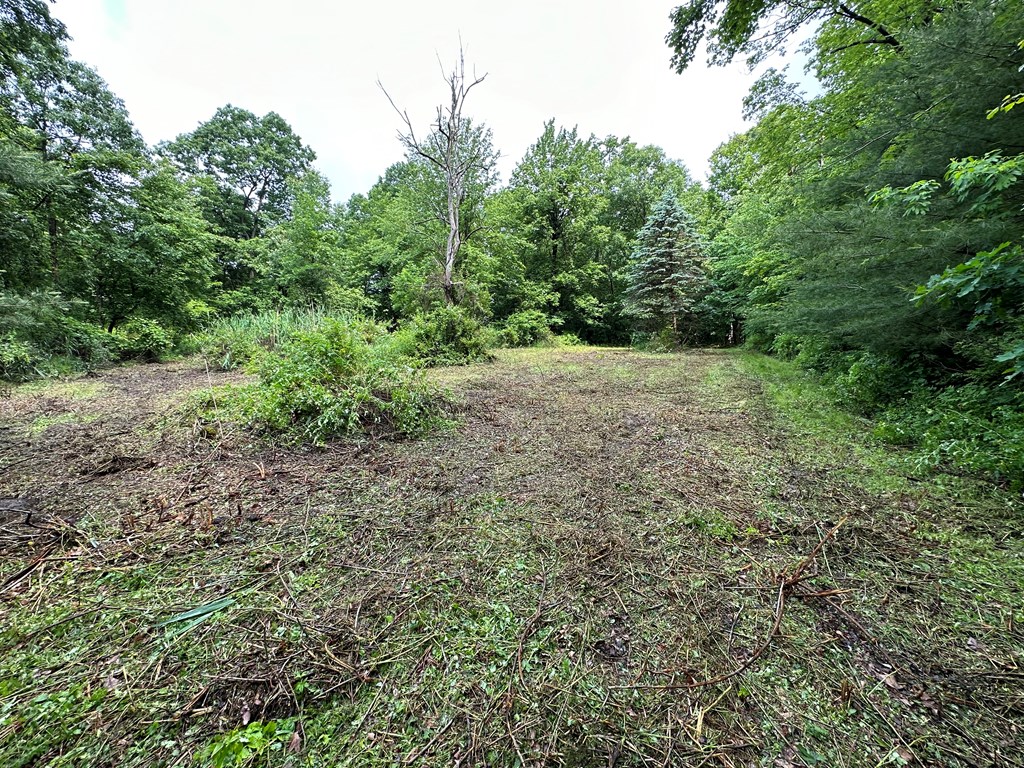 267 Dennison Run Road Polk, PA 16342 - Photo 3 of 10 a view of a yard with a tree