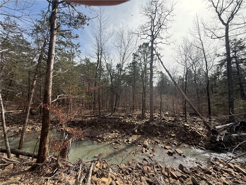 View of local wilderness