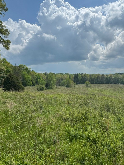0 Sam Smith Road Allardt, TN 38504 - Photo 9 of 19 Gallery Image 9