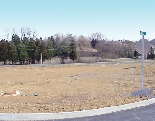 Majors Landing Corryton, TN 37721 - Photo 1 of 1 Primary Photo