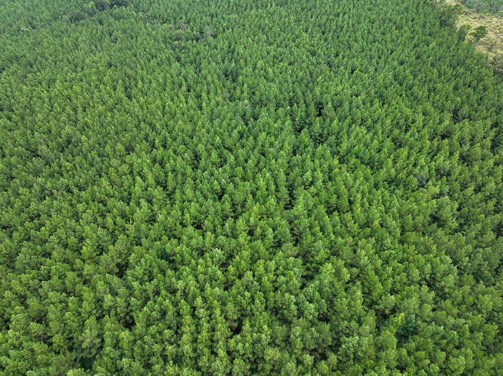 2 Provencal Vowell Mills Road Provencal, LA 71468 - Photo 9 of 16 Aerial overview of property's location