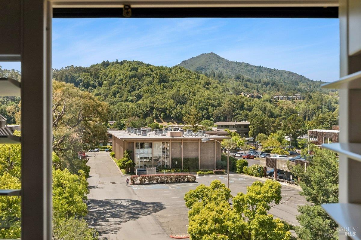 51 Bayview Road Kentfield, CA 94904 - Photo 28 of 37