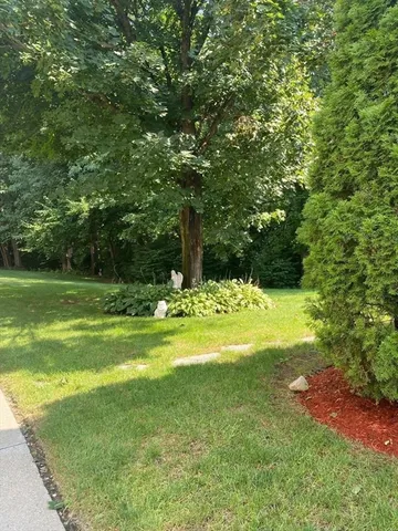 a view of a swimming pool with a big yard and large trees