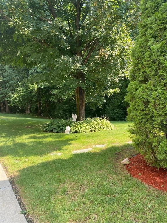 57 Colonial Circle, Unit D Chicopee, MA 01020 - Photo 6 of 19 a view of a swimming pool with a big yard and large trees