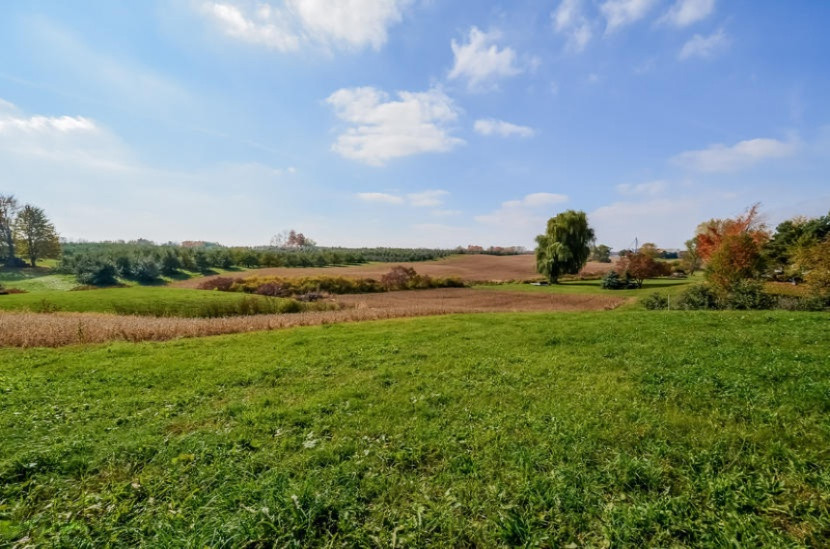 4060 9 Mile Road Northwest Sparta, MI 49345 - Photo 11 of 41 048-1304314-mls