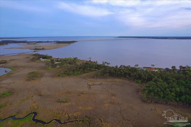 a view of a lake in middle of forest