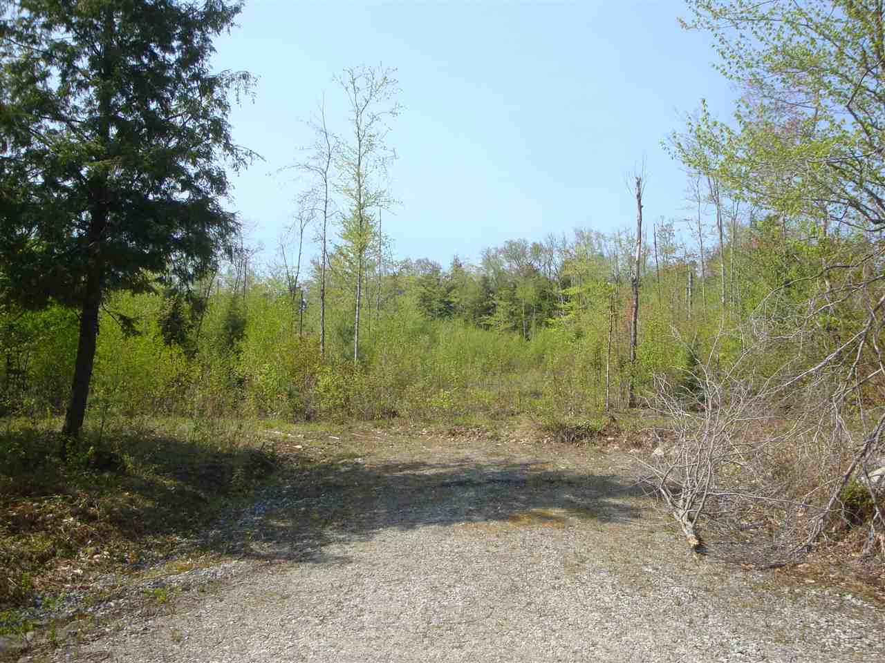 Lot 12 North Groton Road, Unit 12 Hebron, NH 03241 - Photo 7 of 8 Gallery Image 7