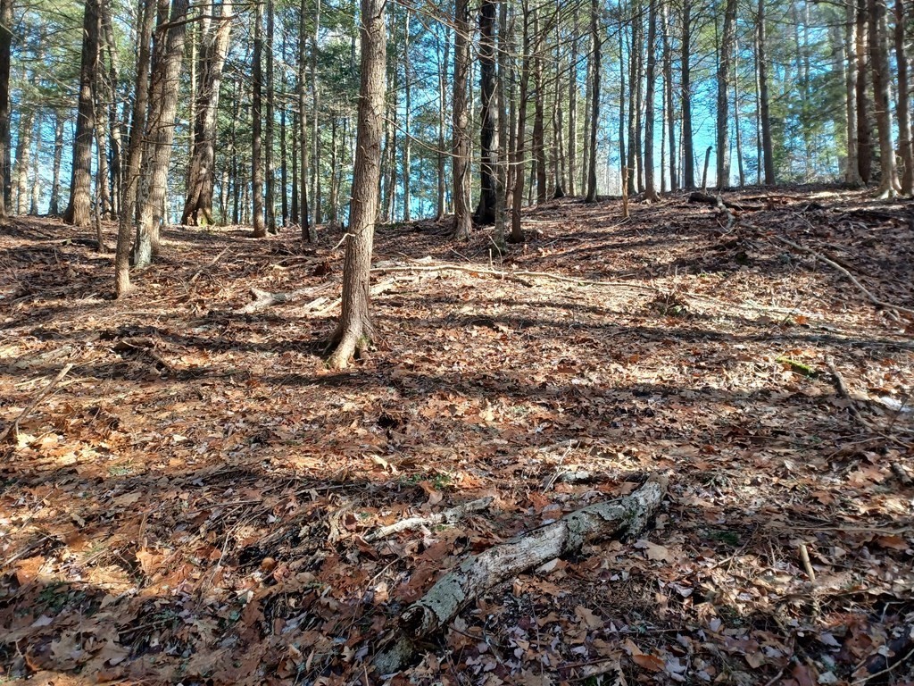 296 Northwest Road Westhampton, MA 01027 - Photo 1 of 14