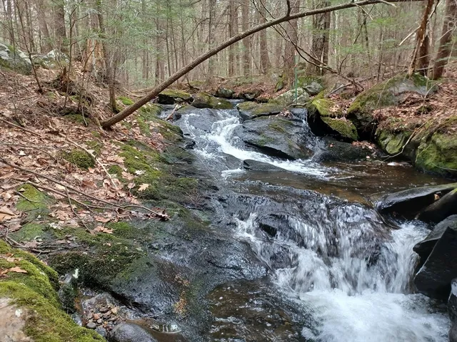 a view of a backyard of the house