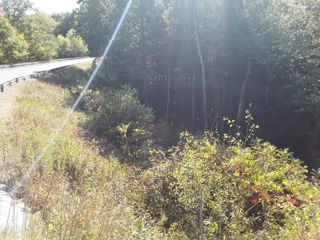 $79,000 | 296 Northwest Road, Westhampton, MA 01027