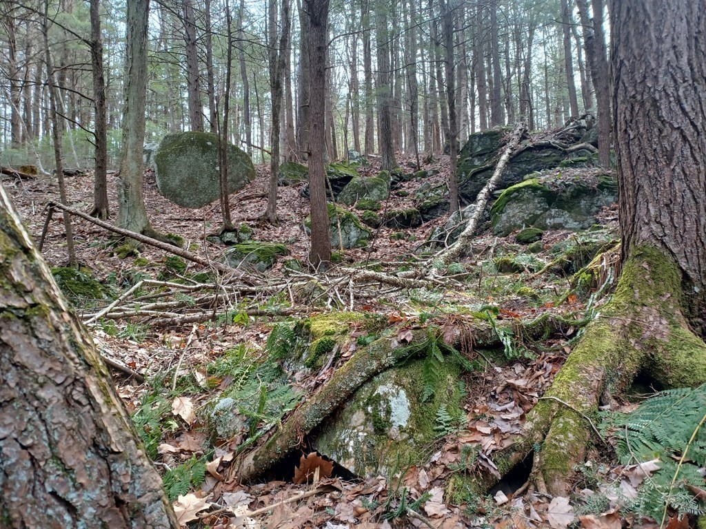 296 Northwest Road Westhampton, MA 01027 - Photo 2 of 14