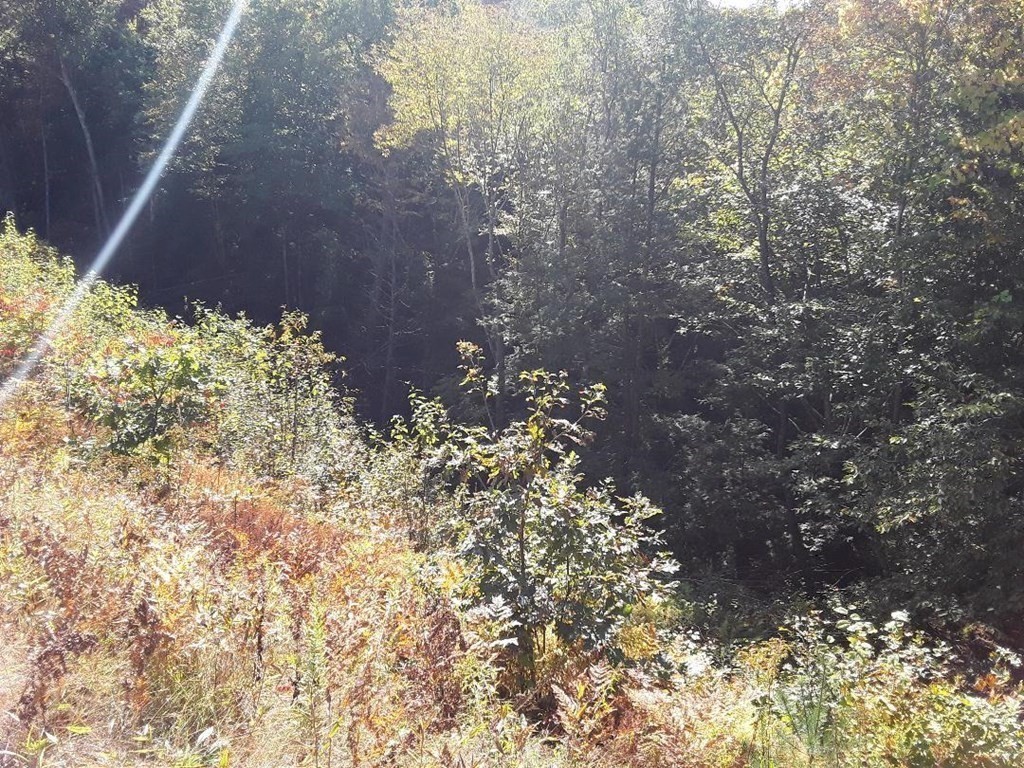 296 Northwest Road Westhampton, MA 01027 - Photo 4 of 14