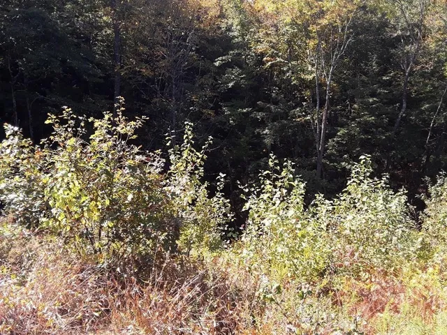 $79,000 | 296 Northwest Road, Westhampton, MA 01027