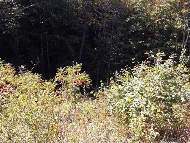 $79,000 | 296 Northwest Road, Westhampton, MA 01027