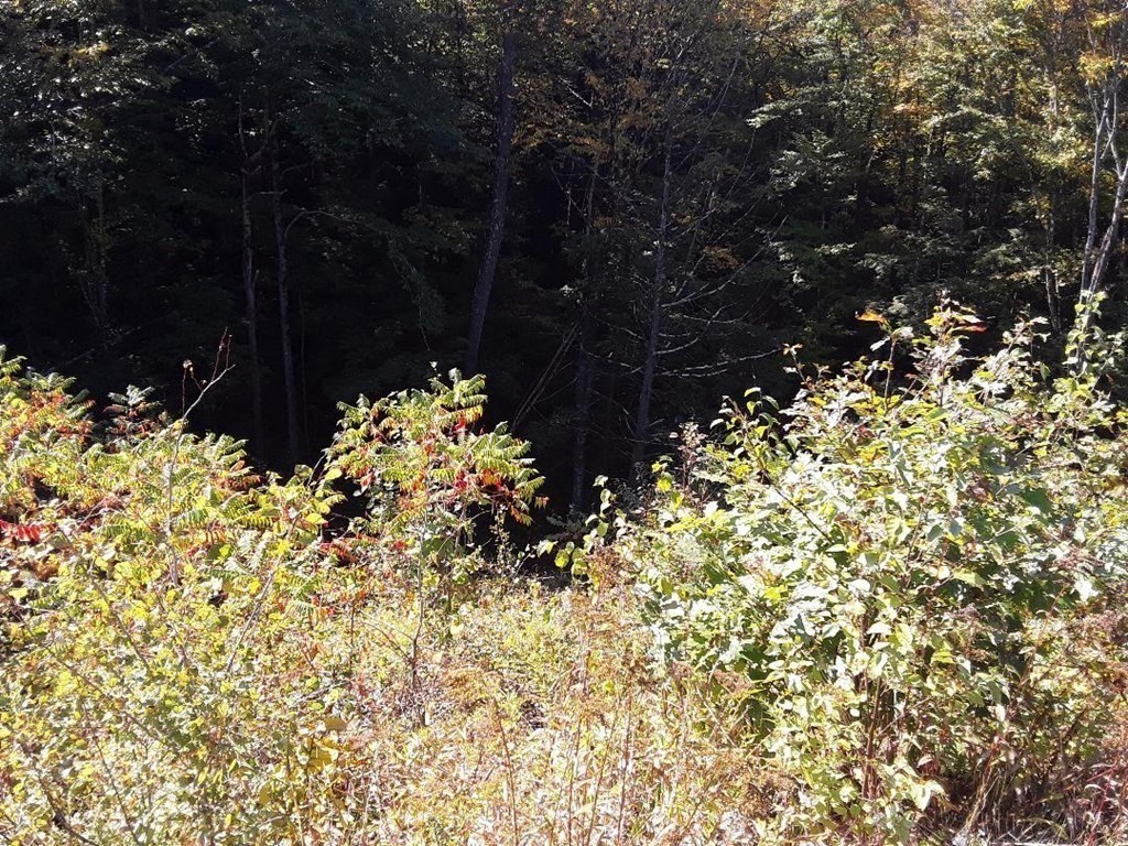 296 Northwest Road Westhampton, MA 01027 - Photo 7 of 14