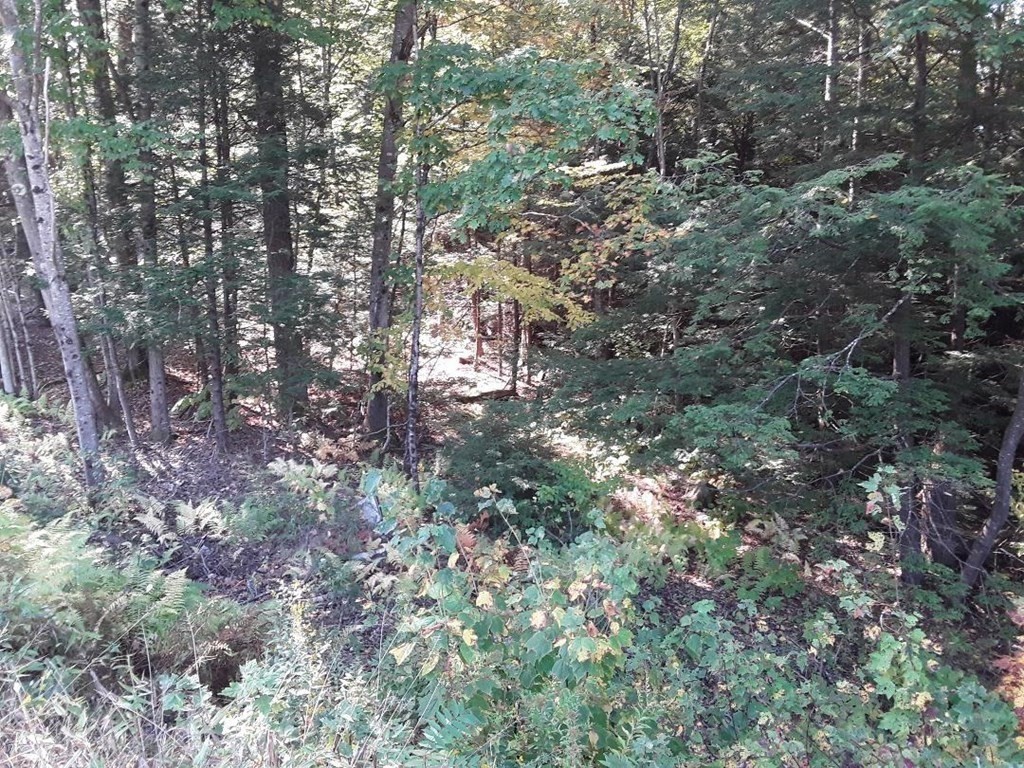 296 Northwest Road Westhampton, MA 01027 - Photo 8 of 14