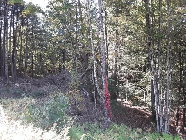 $79,000 | 296 Northwest Road, Westhampton, MA 01027