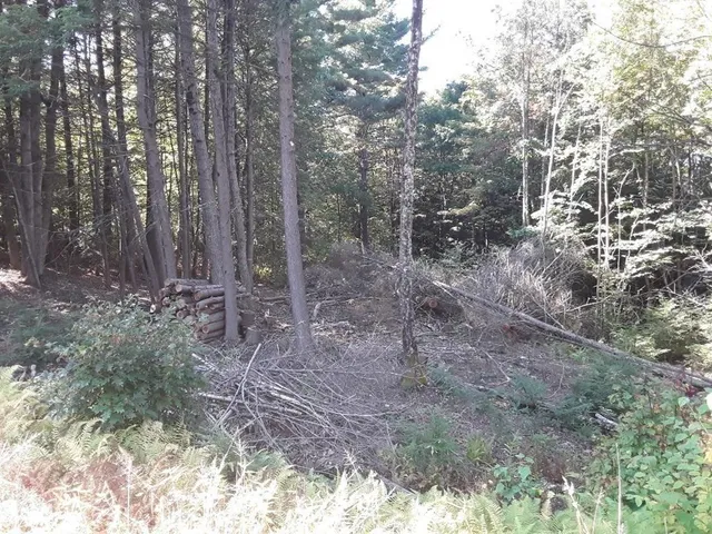 $79,000 | 296 Northwest Road, Westhampton, MA 01027