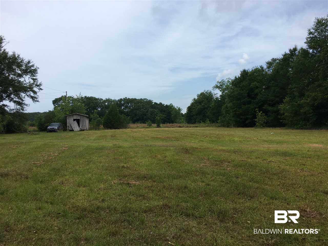 15774 Beasley Road Foley, AL 36535 - Photo 6 of 11 Open Field