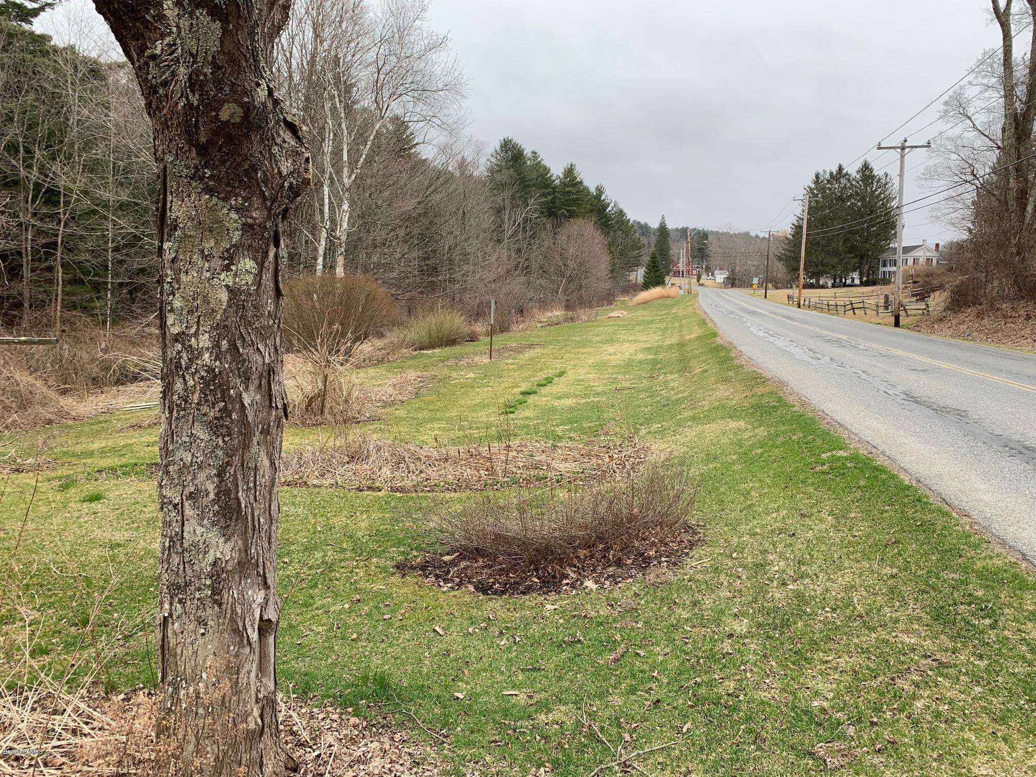 135 Main Road Tyringham, MA 01264 - Photo 4 of 8 a view of a yard with large trees