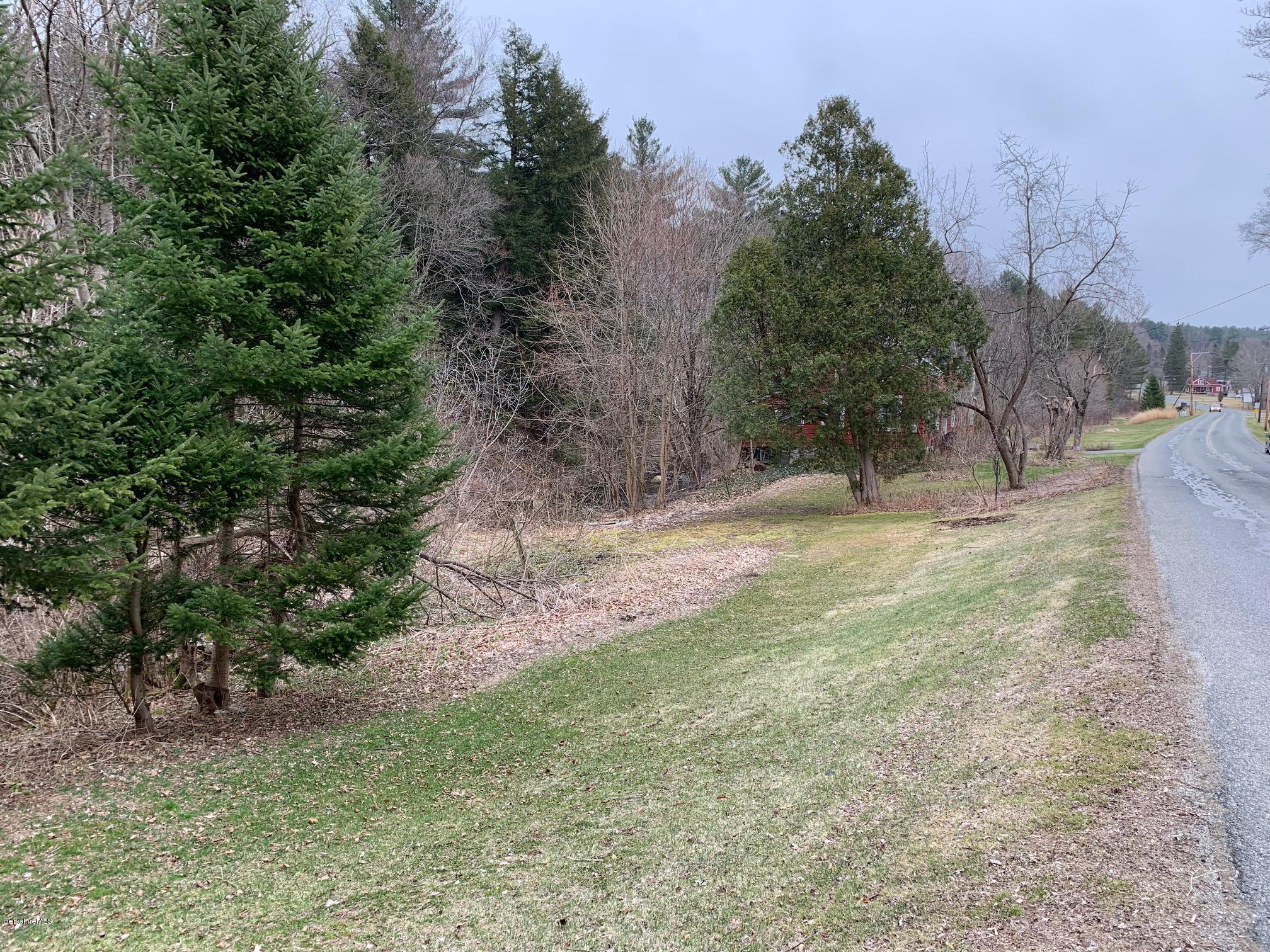 135 Main Road Tyringham, MA 01264 - Photo 5 of 8 a view of backyard with green space