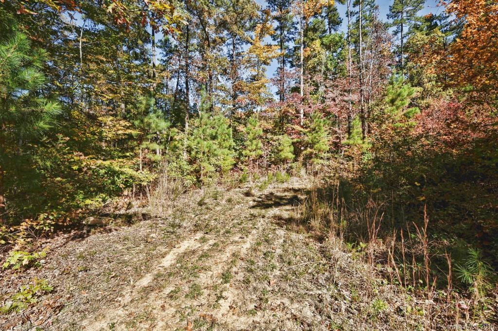 0 Autumncrest Road Huntersville, NC 28078 - Photo 2 of 19 Gallery Image 2