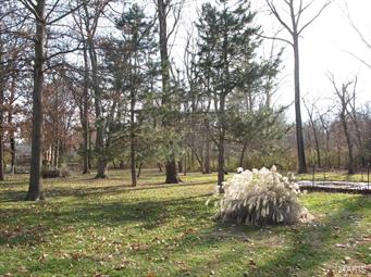 10 Roland Avenue Ballwin, MO 63021 - Photo 25 of 27 Gallery Image 25