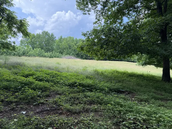 a view of outdoor space and yard