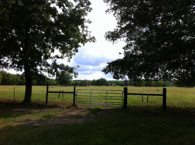 144 Scenic View Road Old Hickory, TN 37138 - Photo 7 of 15 Gallery Image 7
