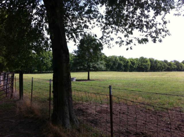 144 Scenic View Road Old Hickory, TN 37138 - Photo 8 of 15 Gallery Image 8