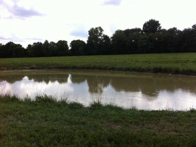 144 Scenic View Road Old Hickory, TN 37138 - Photo 9 of 15 Gallery Image 9