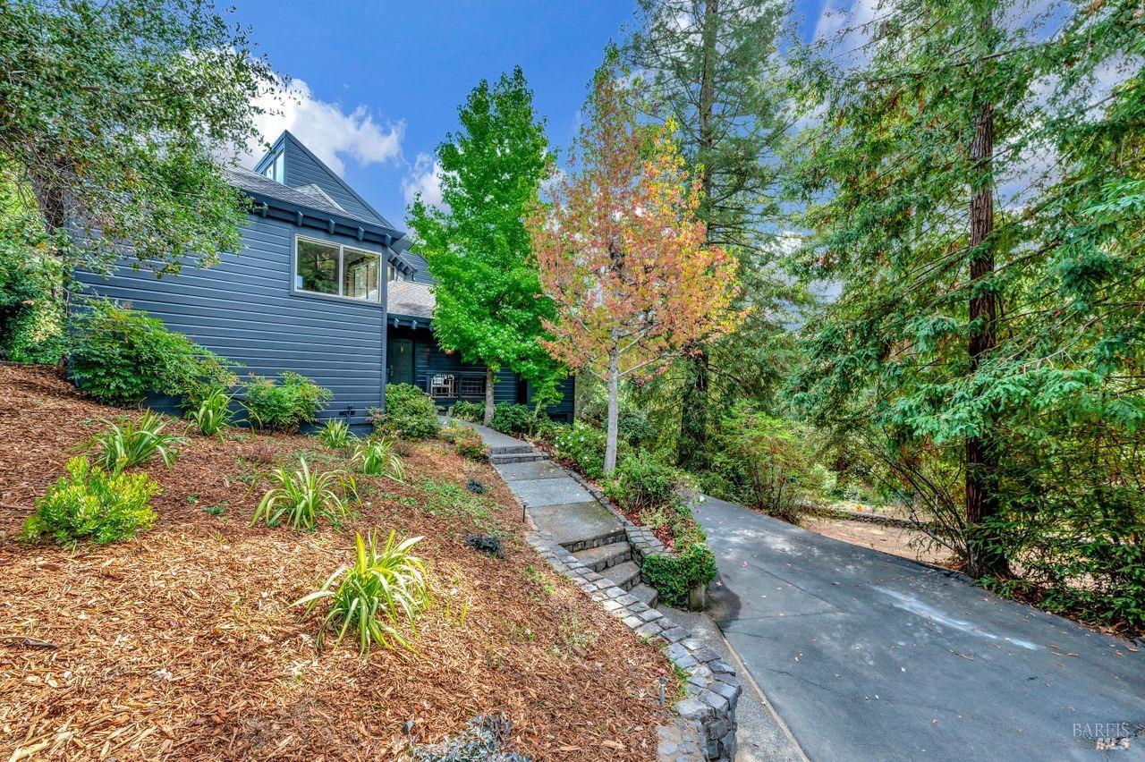 23 Canyon Road Ross, CA 94957 - Photo 1 of 1 a view of a pathway with a yard