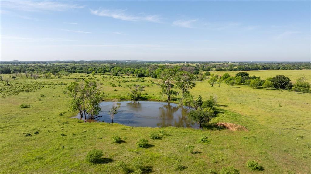 11701 Bowden Road Lipan, TX 76462 - Photo 14 of 26 a view of an ocean view