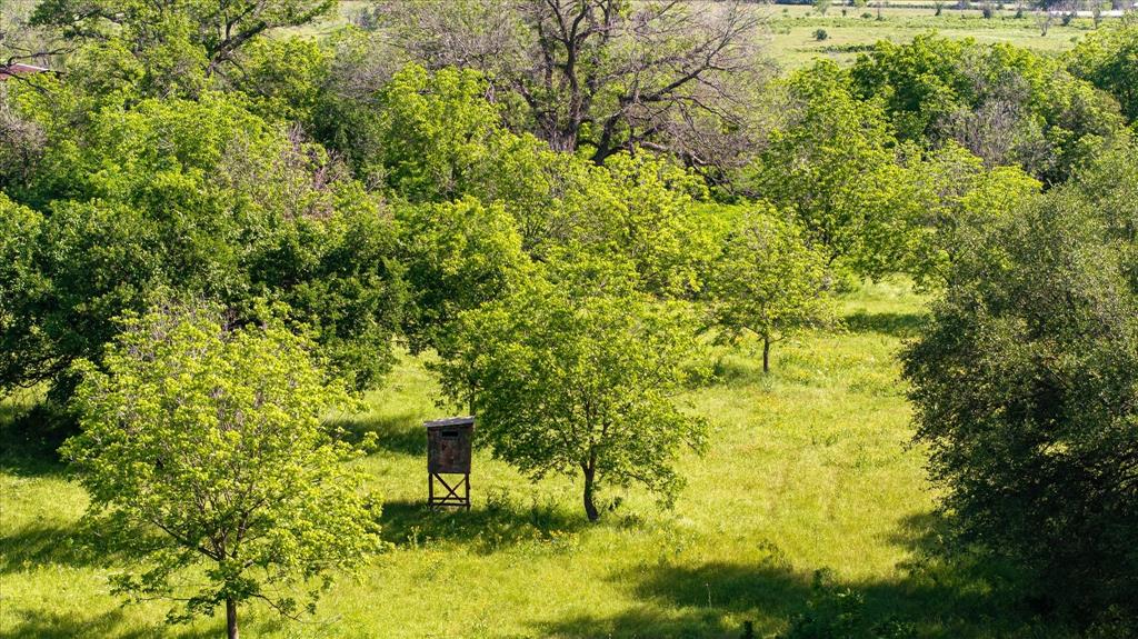 11701 Bowden Road Lipan, TX 76462 - Photo 19 of 26 a view of a big yard of the house