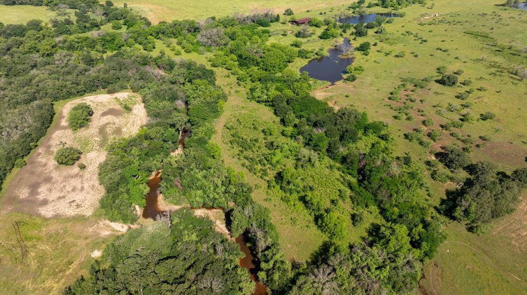 11701 Bowden Road Lipan, TX 76462 - Photo 22 of 26 a close up of a plant