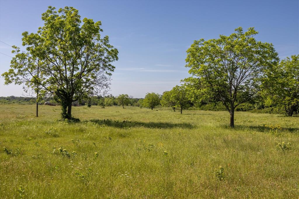 11701 Bowden Road Lipan, TX 76462 - Photo 6 of 26 a view of yard with trees