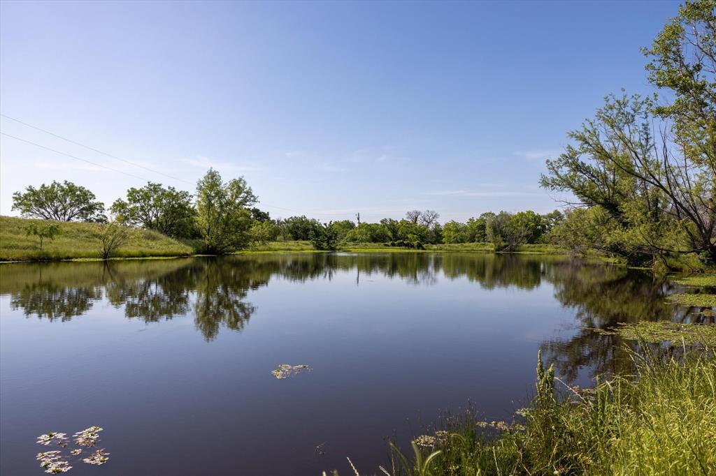 11701 Bowden Road Lipan, TX 76462 - Photo 7 of 26 a body of water with a tree in the background