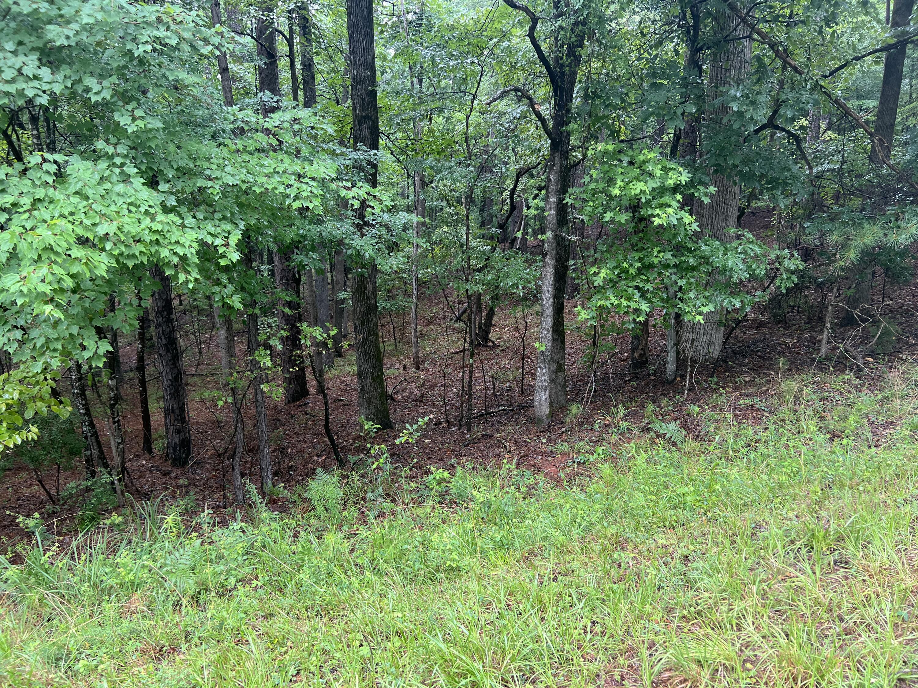 84 Lee Drive Modoc, SC 29838 - Photo 5 of 7 IMG_1171