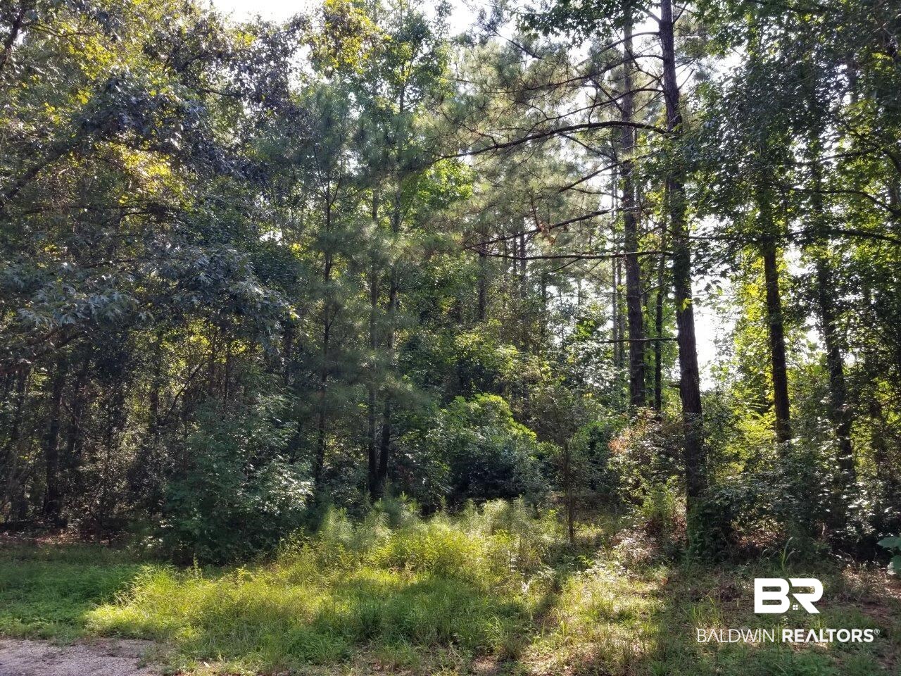 0 Jerkins Loop Atmore, AL 36502 - Photo 14 of 50