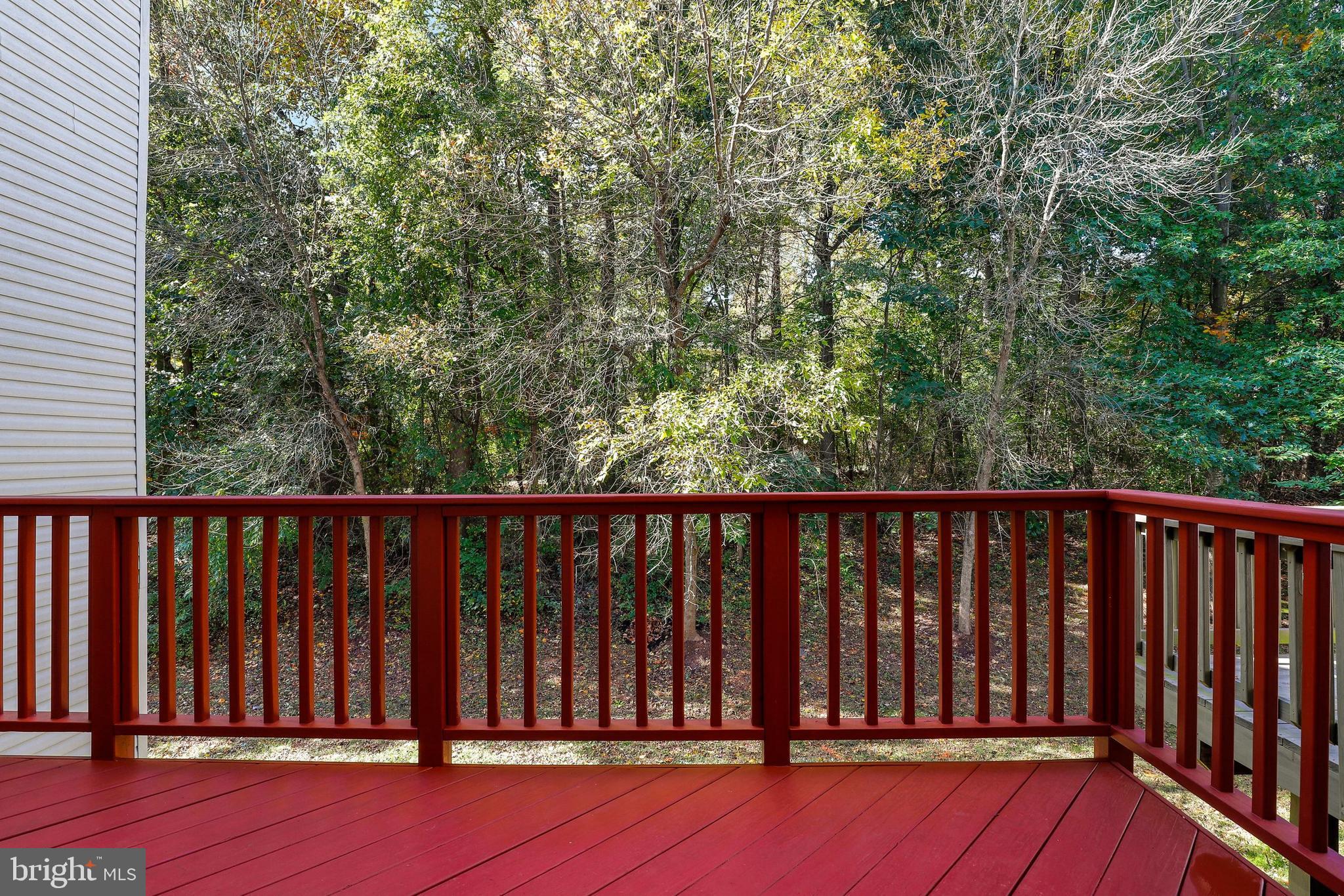 13356 Rushing Water Way Germantown, MD 20874 - Photo 27 of 31 Gallery Image 27